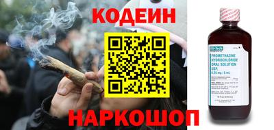 МДПВ Камышлов