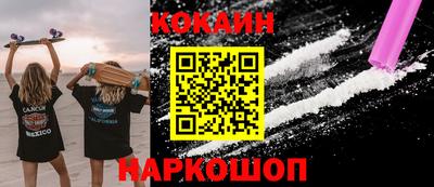 МДПВ Камышлов