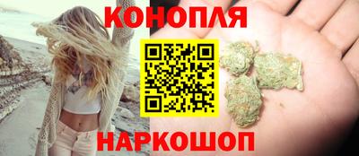 МДПВ Камышлов