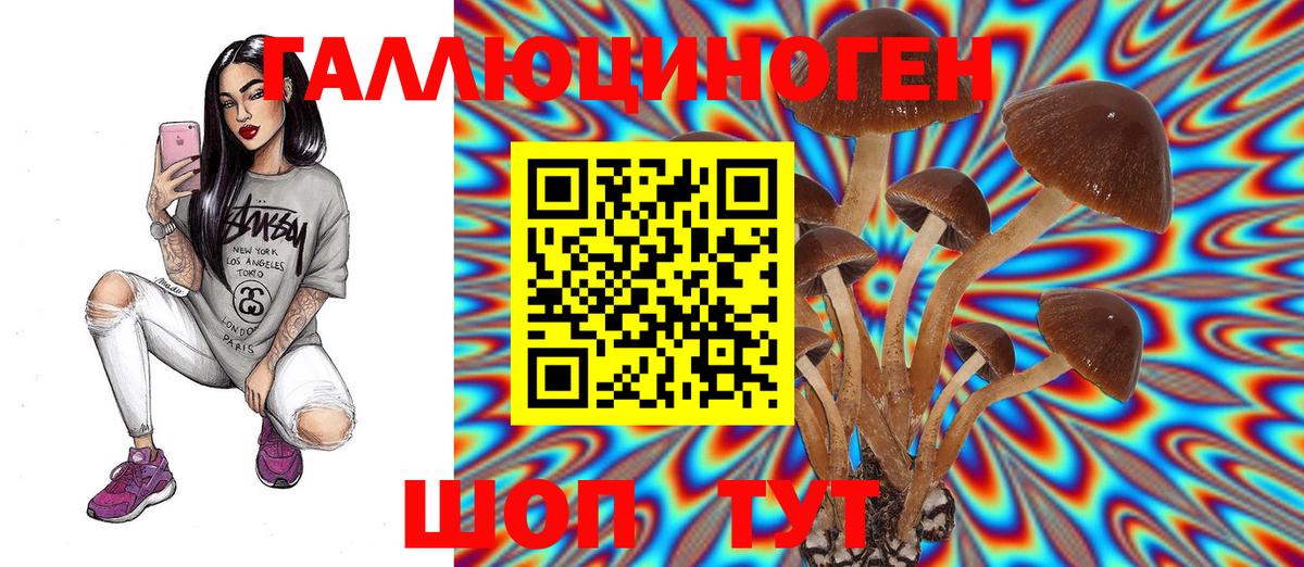 Кстово  Галлюциногенные грибы Psilocybe  Вход с VPN 