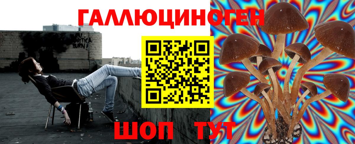 Галлюциногенные грибы прущие грибы Кстово